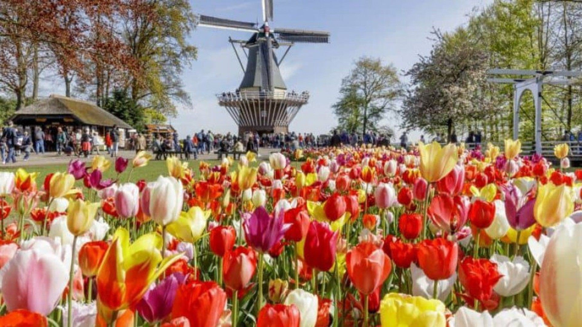 Conhe&ccedil;a 7 dos mais belos jardins espalhados pelo mundo