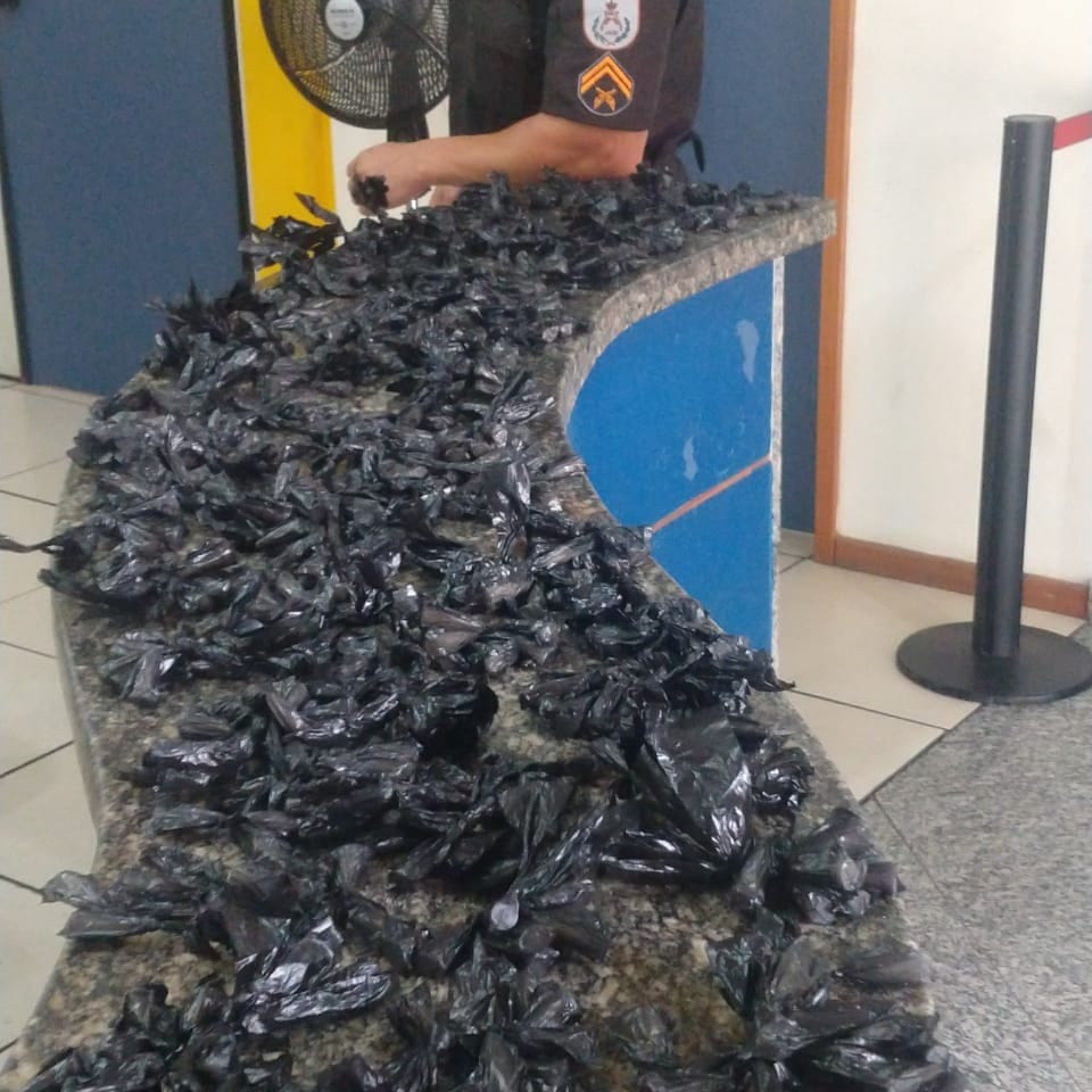 PM apreende carga de drogas que estava enterrada em restinga, em Quissamã