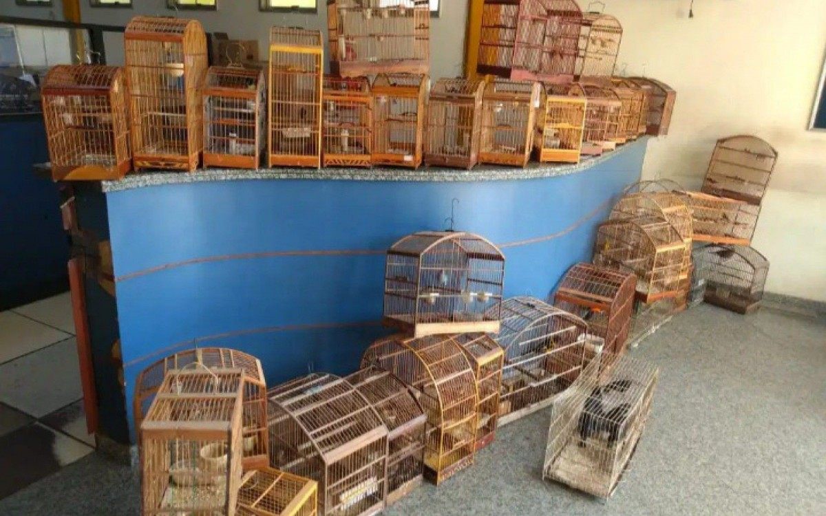 Morador foi ouvido na 143&ordf; DP e liberado ap&oacute;s o registro de ocorr&ecirc;ncia.