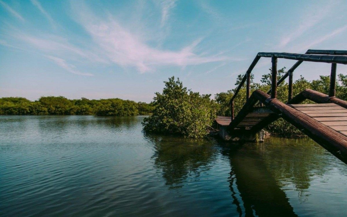 A elabora&ccedil;&atilde;o do Plano de Manejo n&atilde;o se resume apenas &agrave; produ&ccedil;&atilde;o do documento t&eacute;cnico.  
