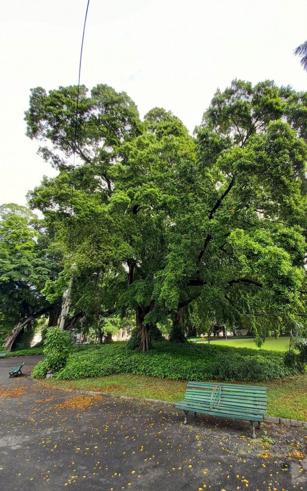 Doação da Farma faz parte de um conjunto de ações de um programa próprio da empresa