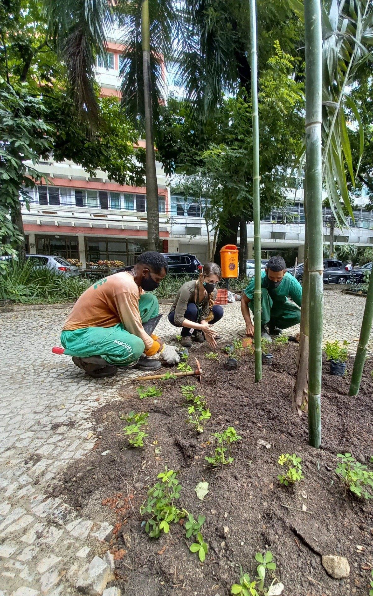Obra da Fábrica de Árvores levará cerca de nove meses para ser concluída