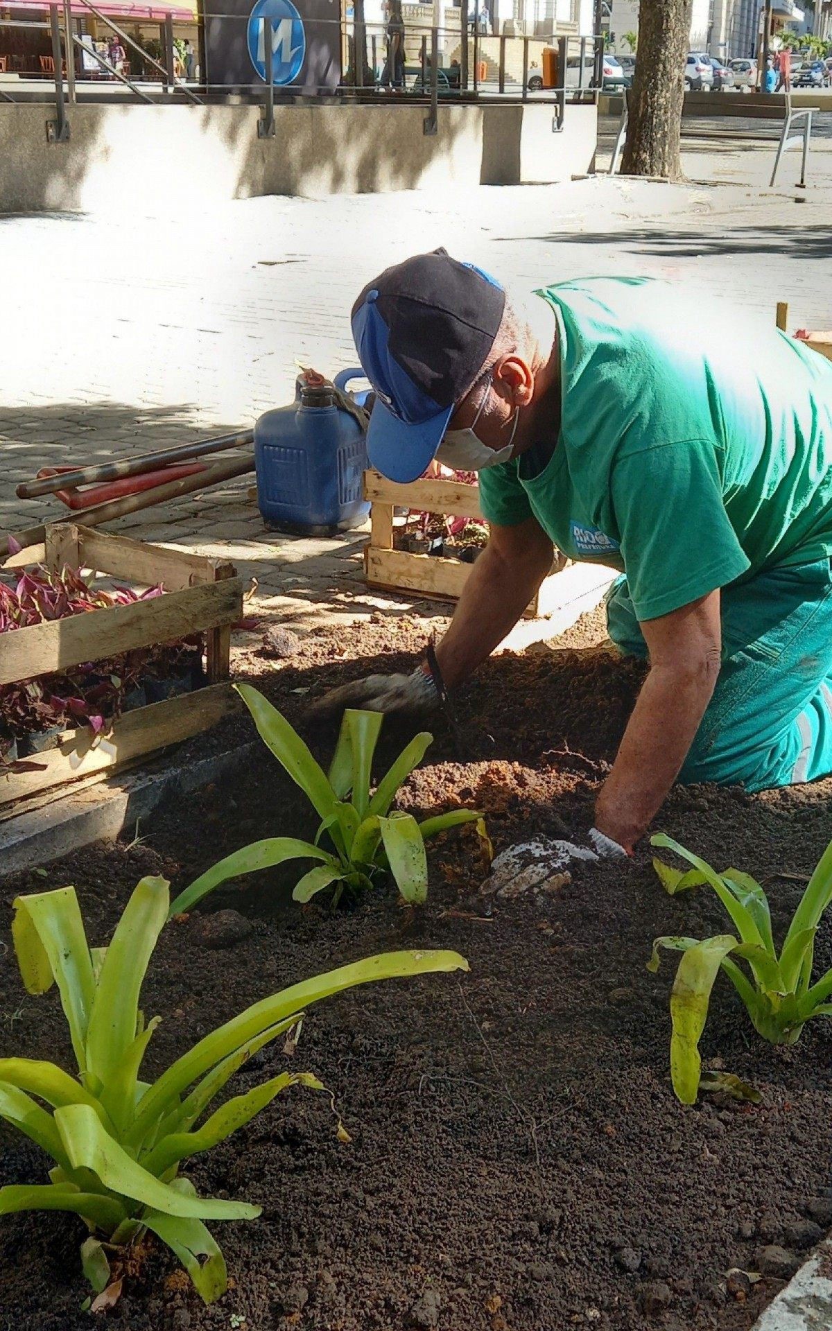 Farm vai investir R$350 mil para a implantação do projeto