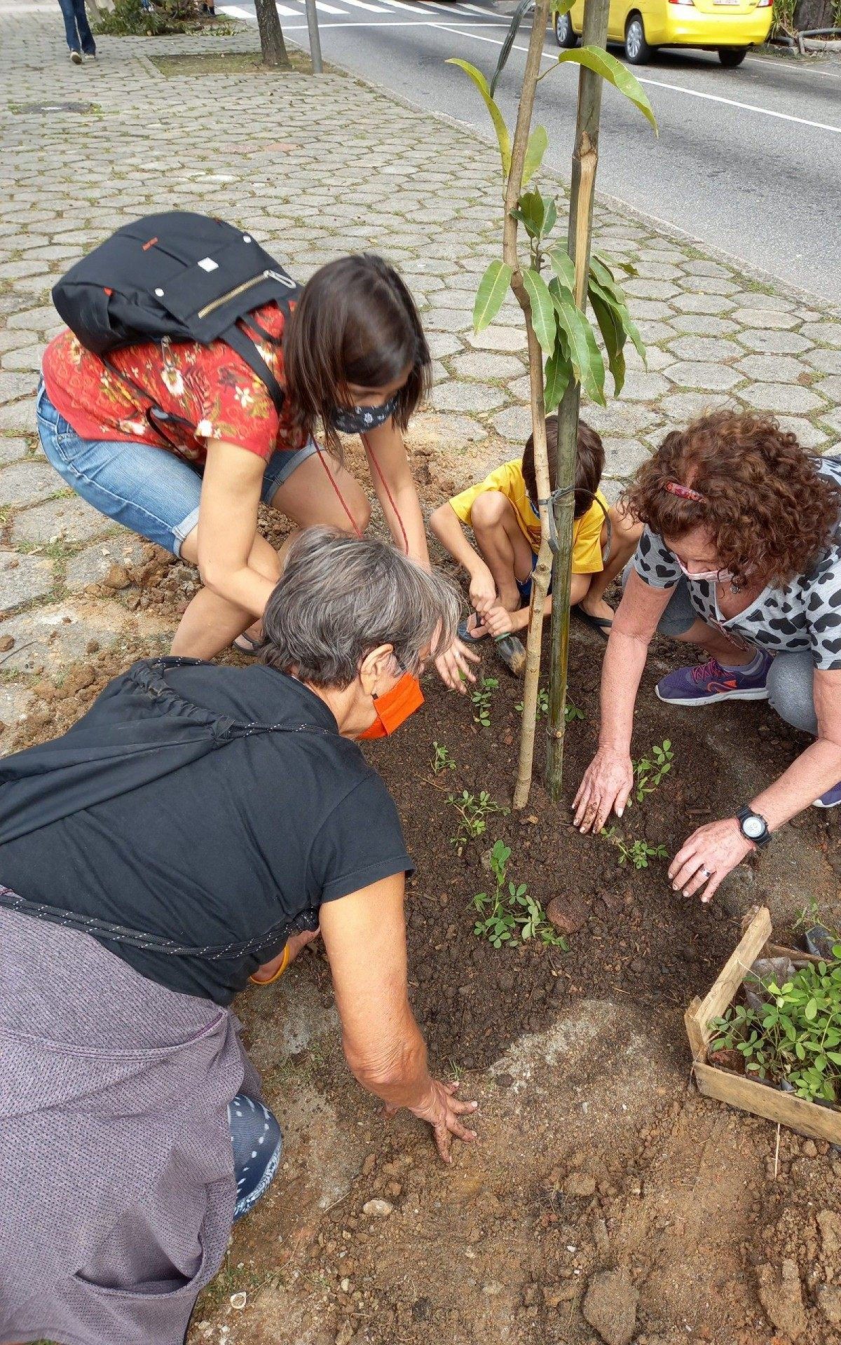Capacidade de produção da Fábrica de Árvores será de mais de 10 mil mudas por ano