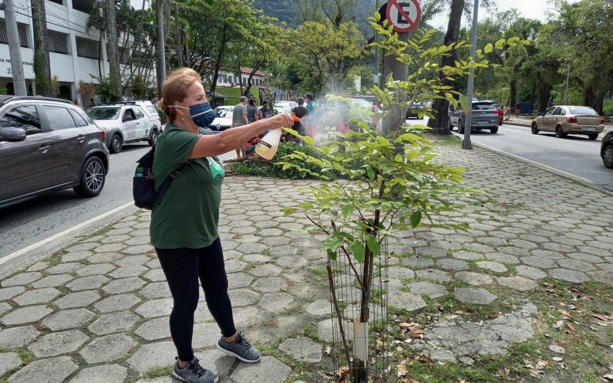 Projeto foi desenvolvido a partir do conceito de economia circular