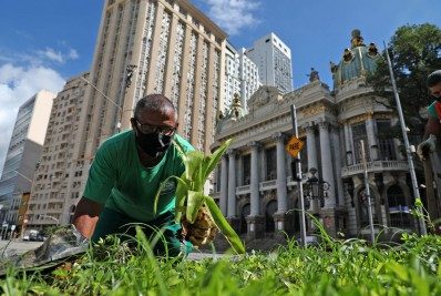 Rio terá primeira Fábrica de Árvores para produção de mudas