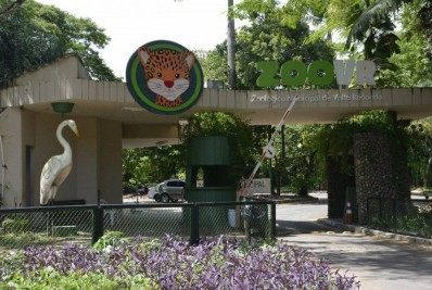 Zoológico de Volta Redonda irá funcionar durante feriado prolongado