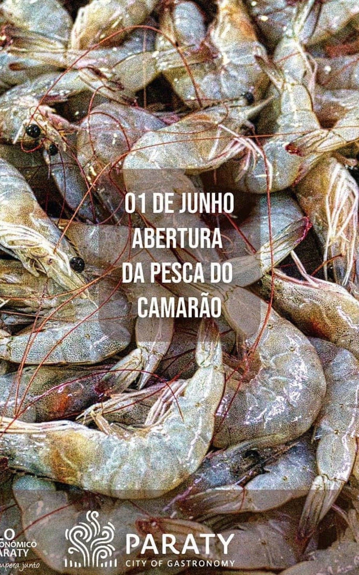 Abertura da pesca do Camar&atilde;o