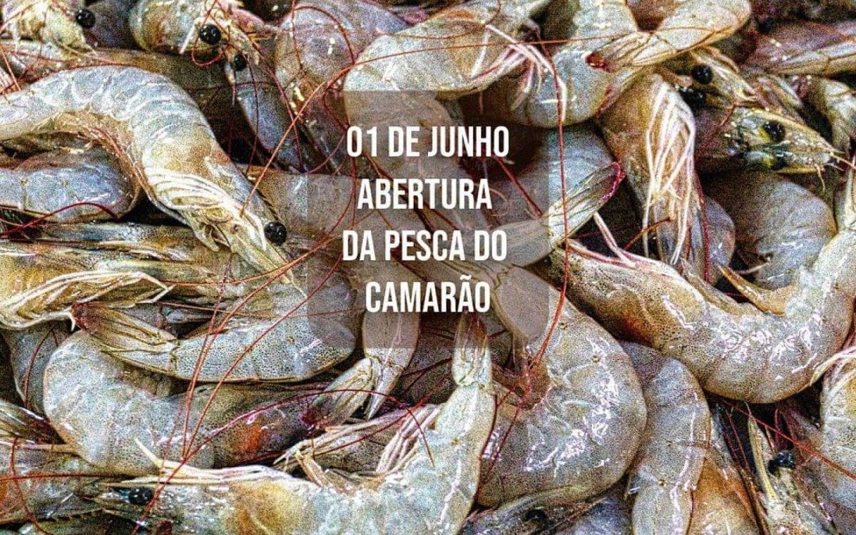 Paraty Cidade Criativa da Gastronomia pela UNESCO