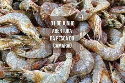 Paraty Cidade Criativa da Gastronomia pela UNESCO