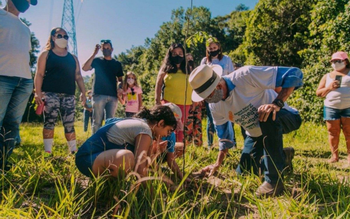 No Dia do Meio Ambiente n&atilde;o podia faltar o plantio de uma &aacute;rvore 