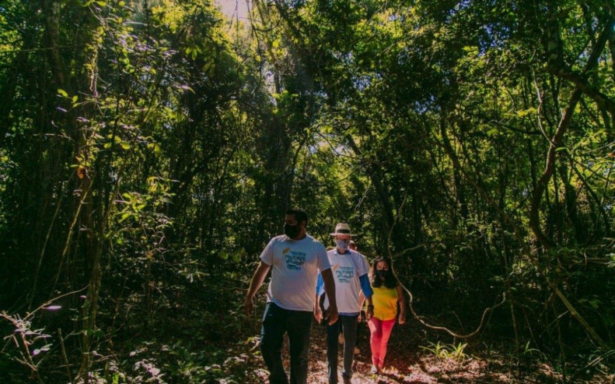 Parque possui trilha pela Mata Atl&acirc;ntica 