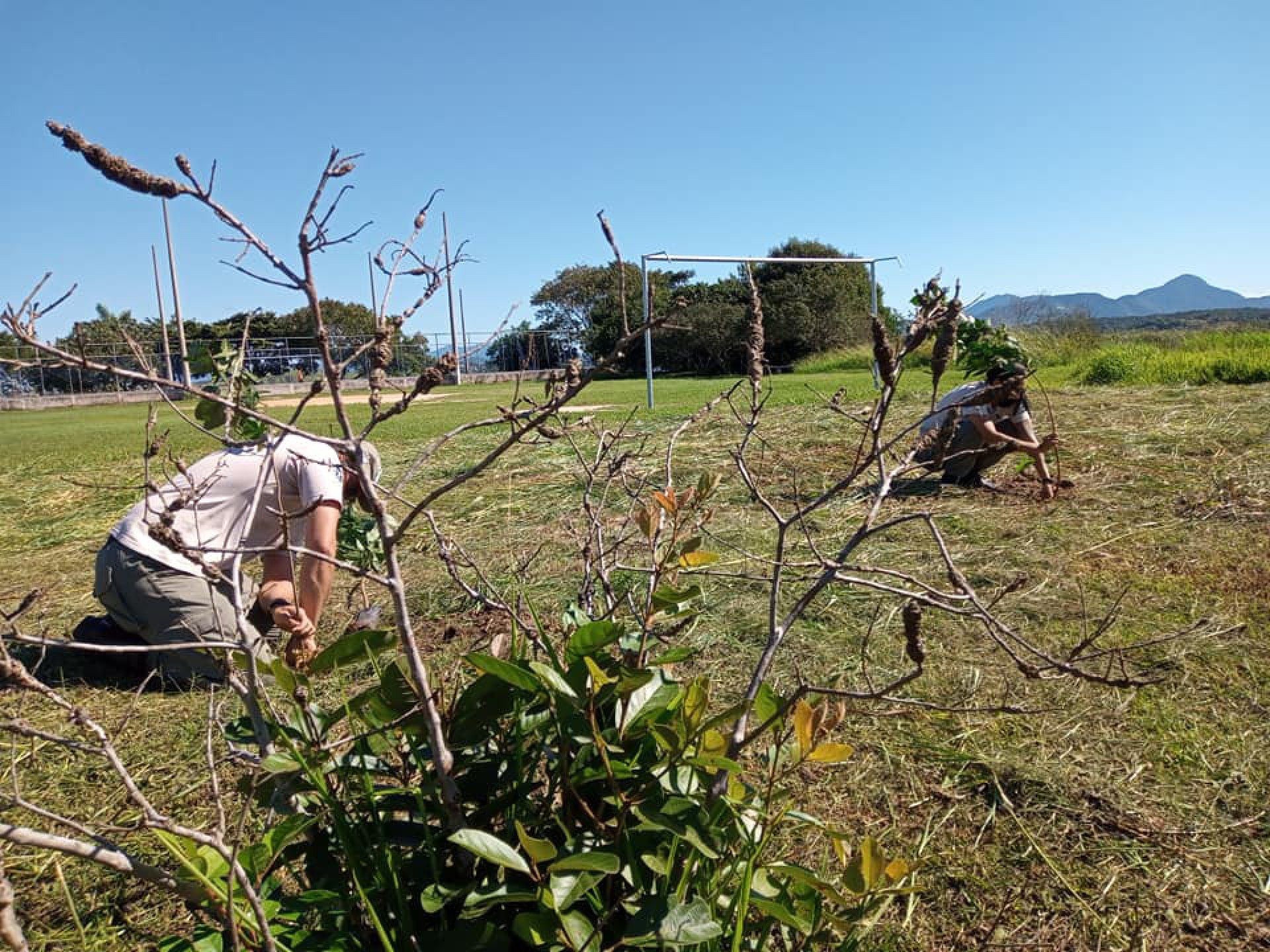 Dia do Meio Ambiente: voluntários plantam mudas em torno da lagoa de Jacarepiá, em Saquarema