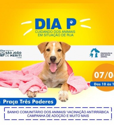 Adoção comunitária garante bem-estar de pets de rua
