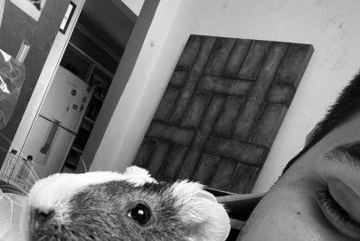 'Como pode um rato mudar tanto a vida de alguém?', diz influenciador após morte de pet