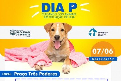 Dia P: Meriti promove ação social para animais em situação de rua nesta segunda (07)