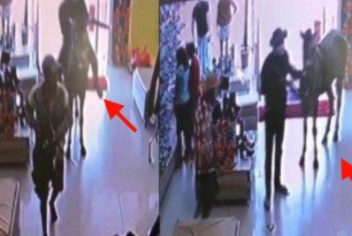 Vídeo! Dupla usa cavalo para invadir e assaltar loja em Sergipe