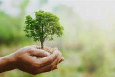 Educação lança concurso em comemoração ao dia do meio ambiente