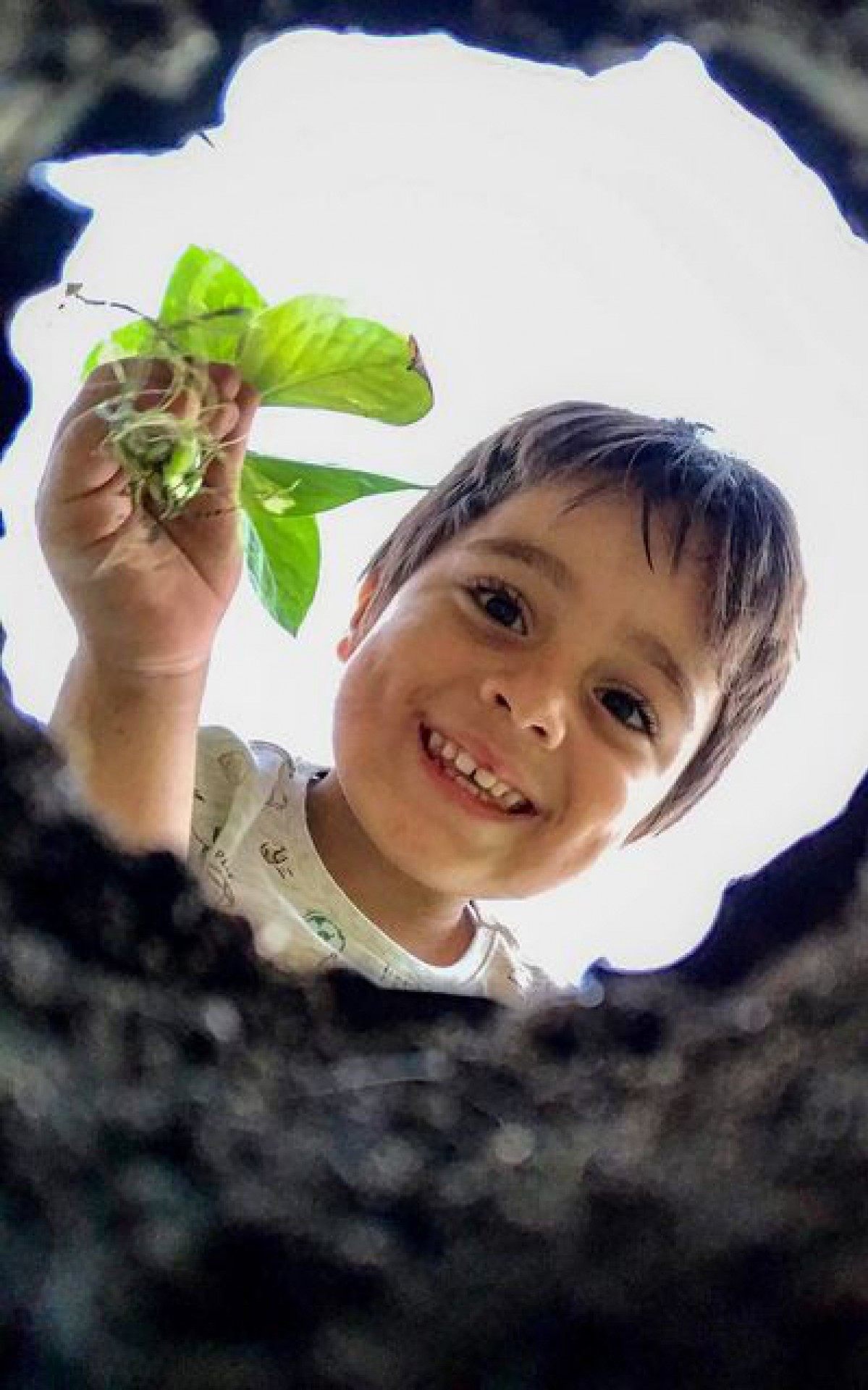 Fotos do concurso "Eu amo o Meio Ambiente" em Volta Redonda