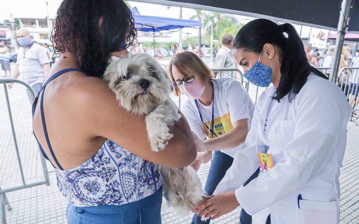 Meriti no 'Dia P': a&ccedil;&atilde;o social de cuidado aos animais em situa&ccedil;&atilde;o de rua 