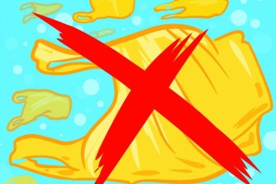 Fábio Queiróz: O meio ambiente sem sacola plástica