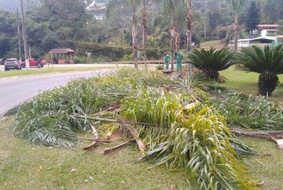 Trevo de Bonsucesso será 1º a receber ações do projeto 'Vamos florir Itaipava' da Afipe