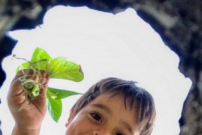 Meio Ambiente anuncia vencedores do concurso de fotografia em Volta Redonda