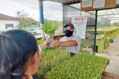Projeto Horta Municipal em Porto Real retoma distribuição de mudas