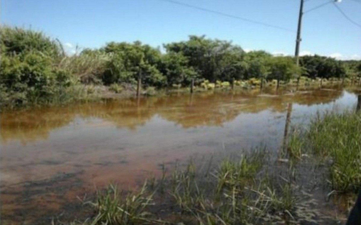 Como o bairro do Pontal do Per&oacute; se localiza entre a &Aacute;rea de Preserva&ccedil;&atilde;o Ambiental (APA) do Pau Brasil e o Parque Estadual da Costa do Sol