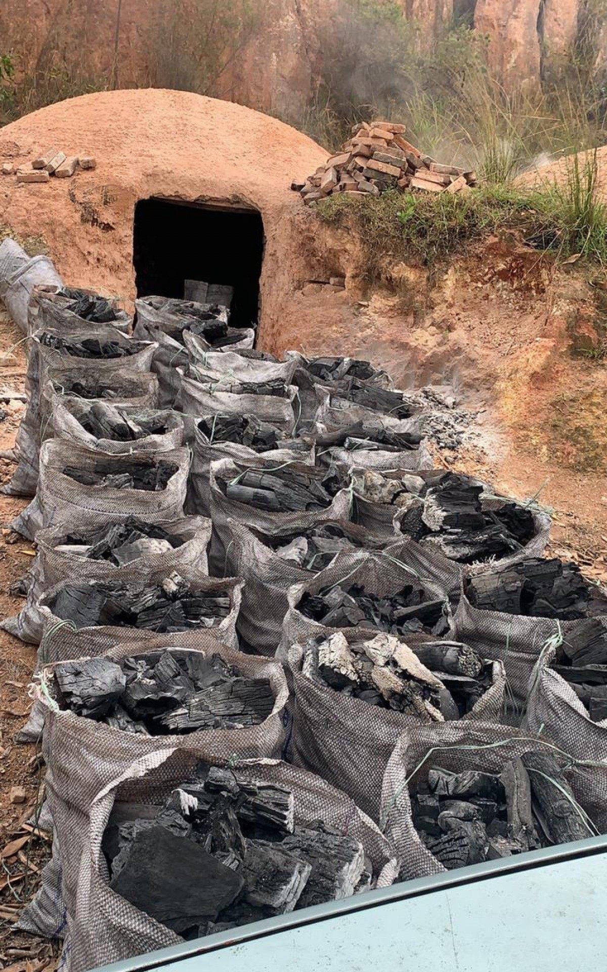 Carvoaria clandestina foi desativada ap&oacute;s den&uacute;ncias