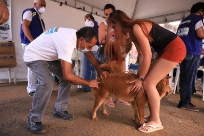 Vila Norma, em Meriti, recebe campanha de vacinação antirrábica nesta quinta-feira (2)