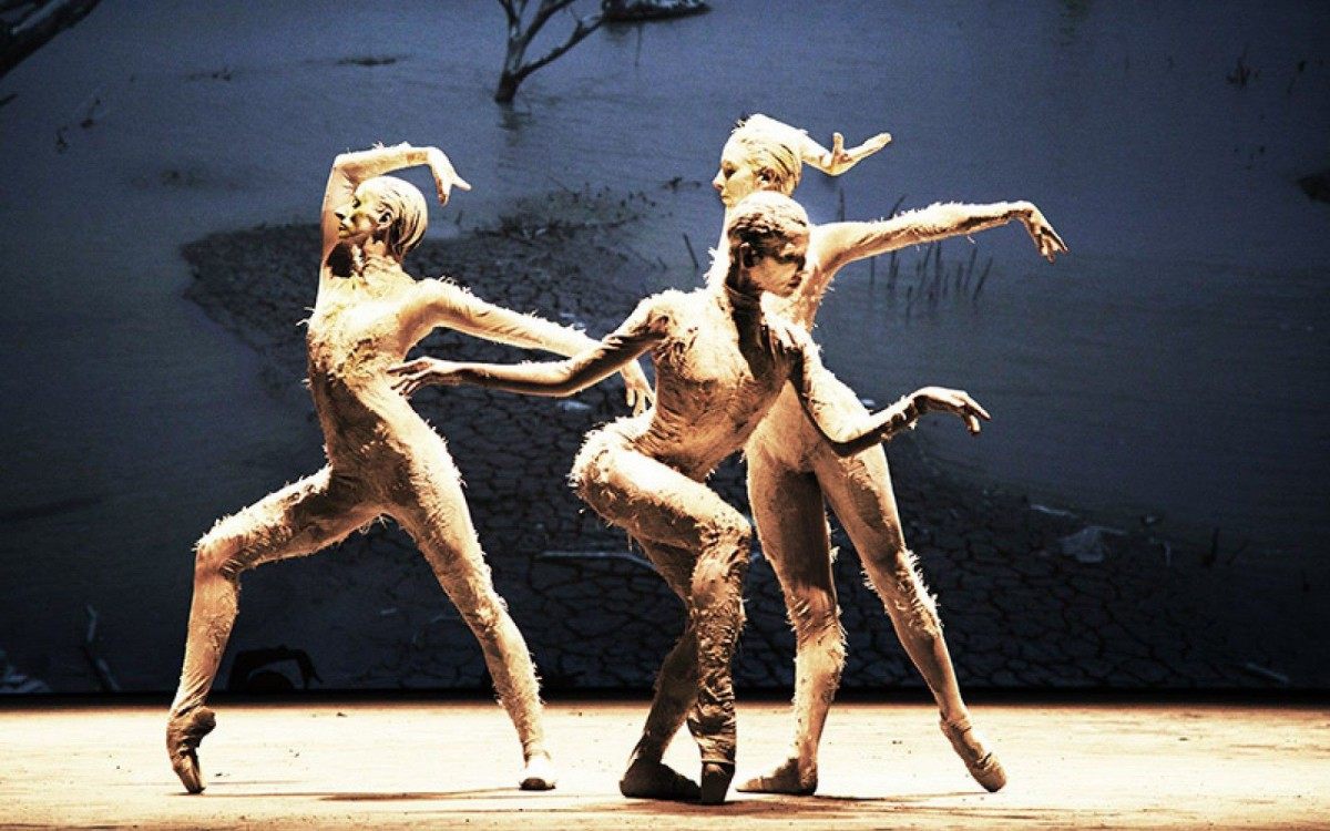 A apresenta&ccedil;&atilde;o em filme do espet&aacute;culo &lsquo;C&atilde;o Sem plumas&rsquo;  e a palestra acontecer&atilde;o no Col&eacute;gio Fator, no Centro de S&atilde;o Jo&atilde;o de Meriti, &agrave;s 19h40