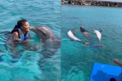 Vídeo! Ludmilla mostra mergulho com golfinhos no Caribe