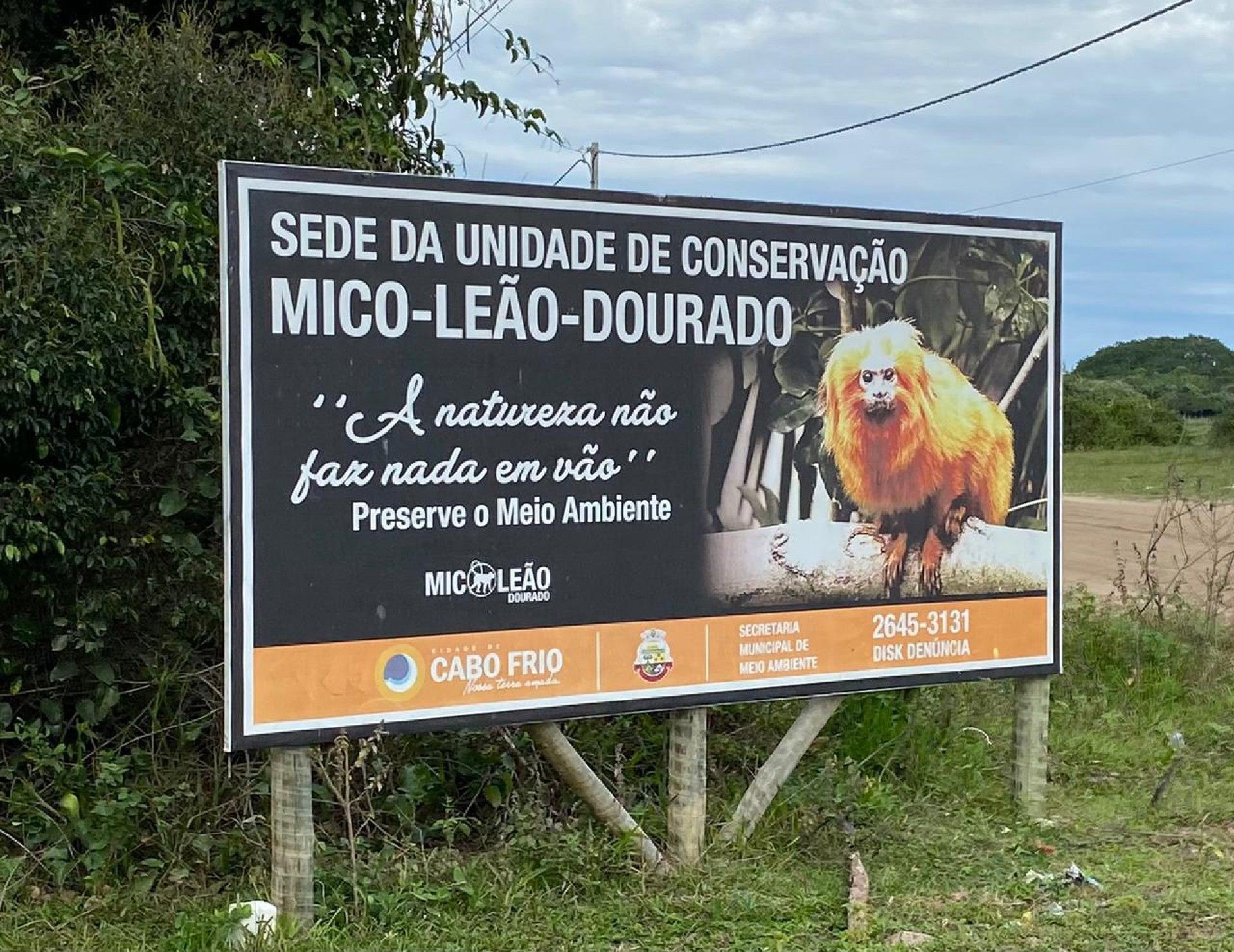 MPRJ e Cabo Frio aju&iacute;zam a&ccedil;&atilde;o para remover ocupa&ccedil;&otilde;es irregulares do Parque Municipal do Mico Le&atilde;o Dourado