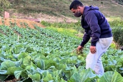 Pesagro e Sebrae lançam programa para estimular crescimento de produção rural no Rio