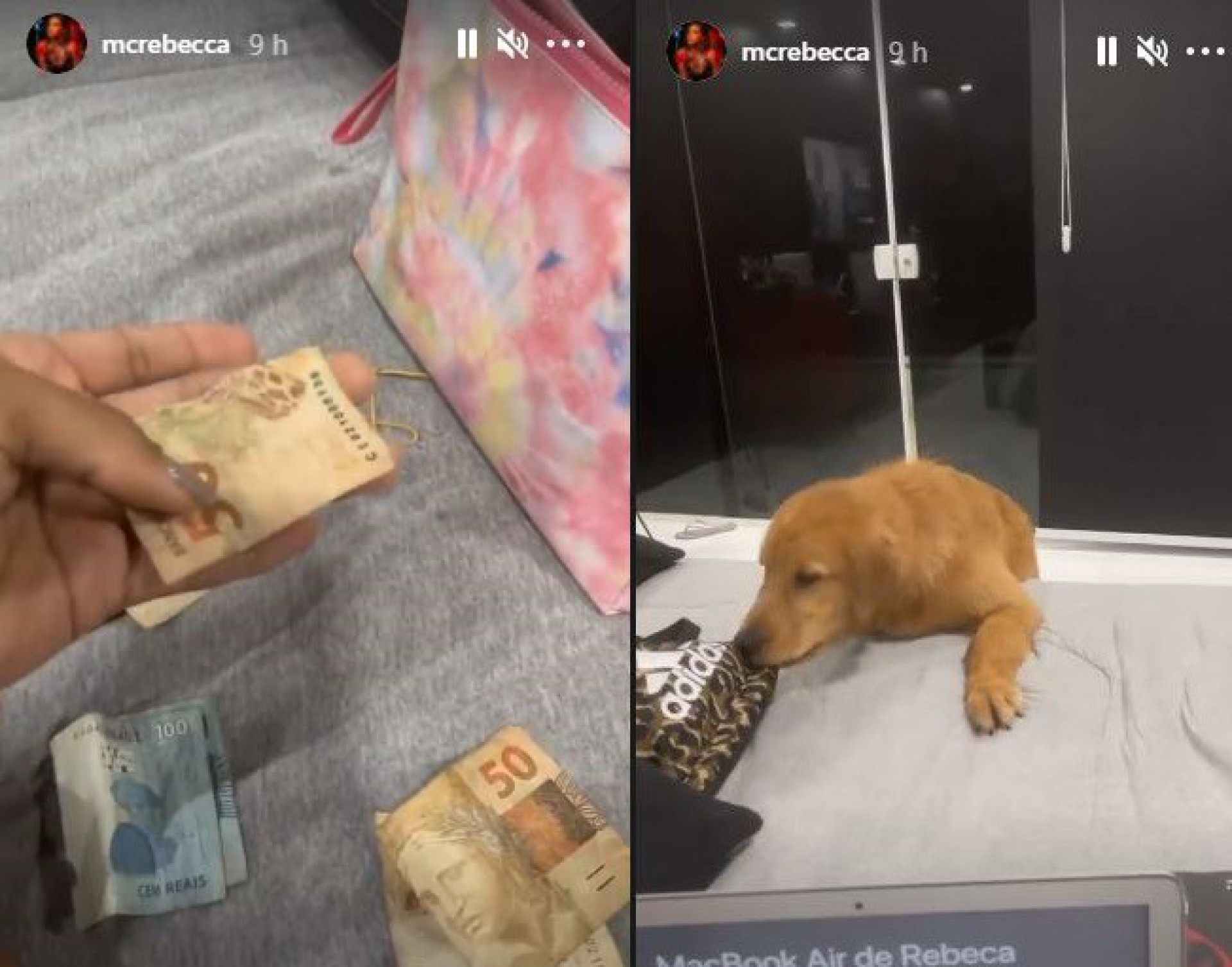 Cachorrinha de MC Rebecca come dinheiro da cantora: 'Meu pai amado'