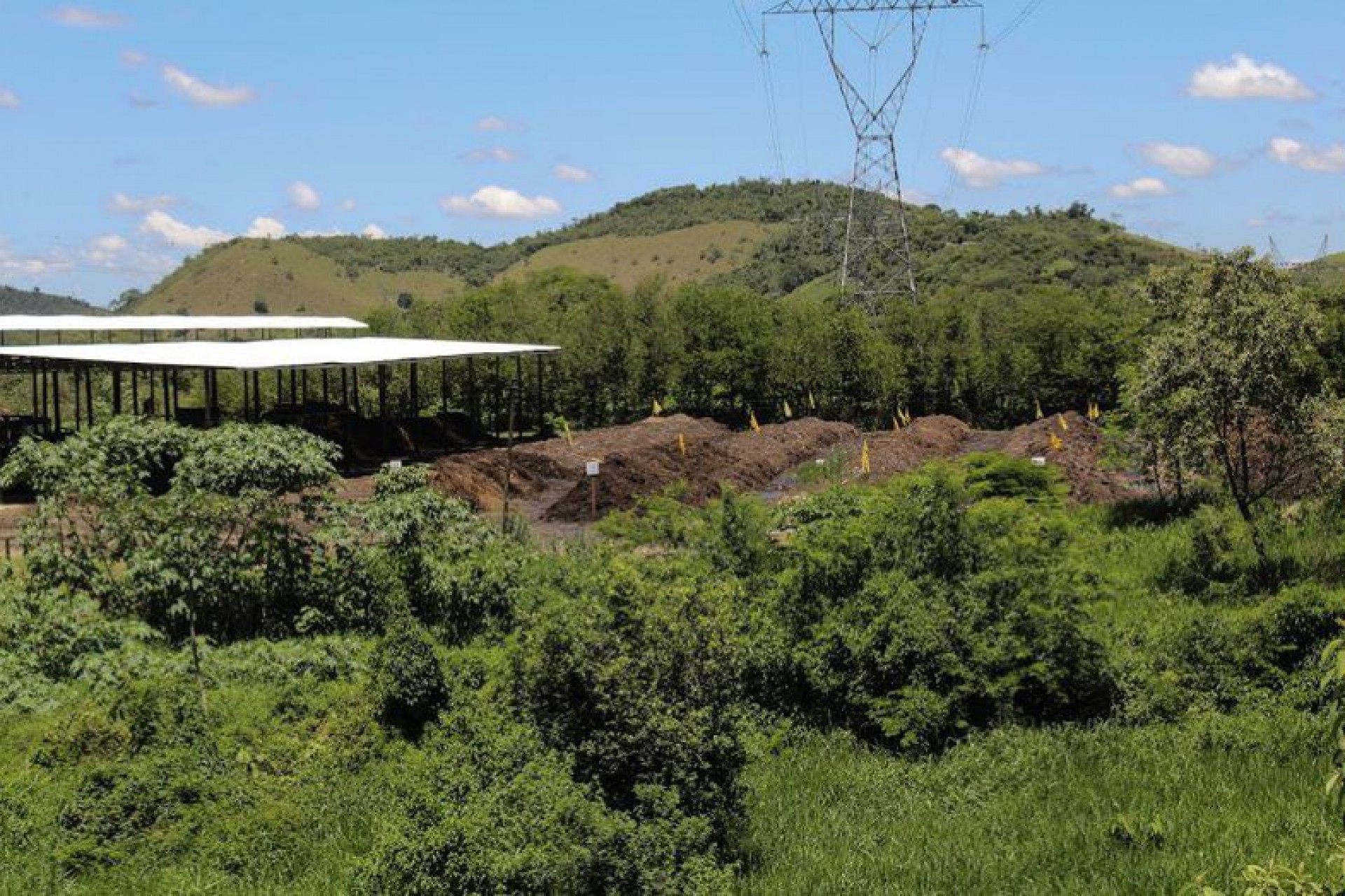 Campo da empresa Vide Verde, responsável pela reciclagem do lodo gerado nas ETEs de Nova Friburgo - Divulgação