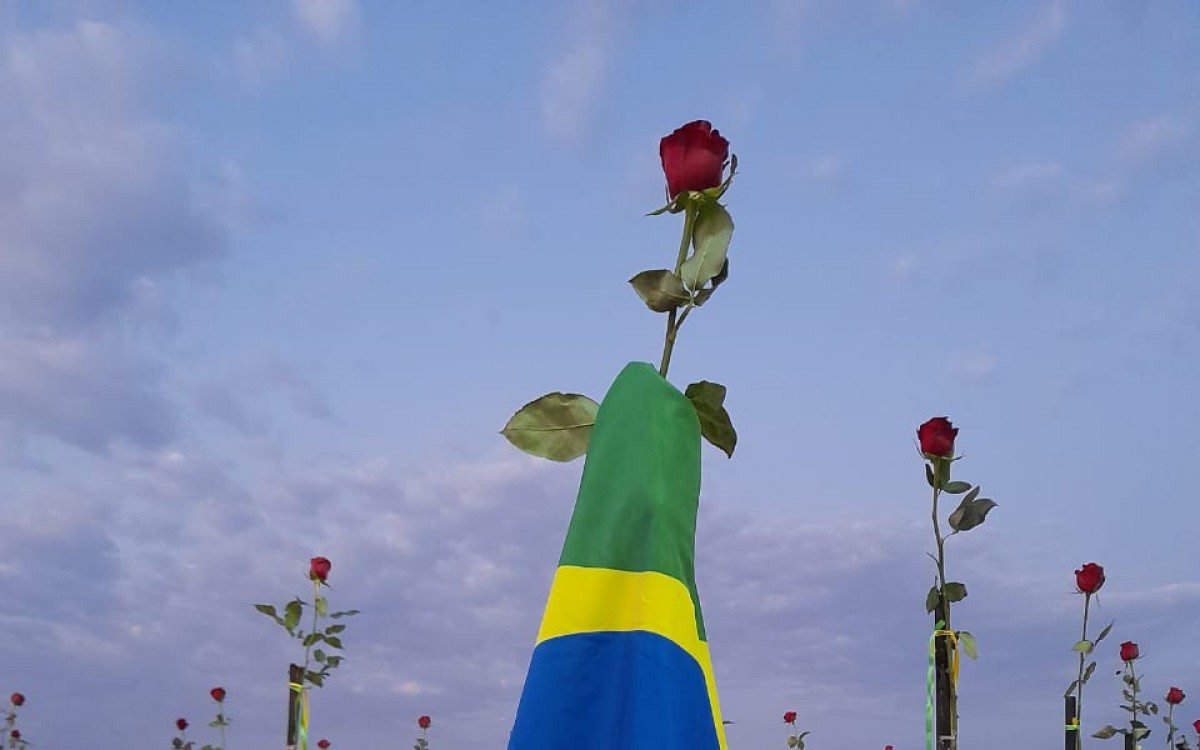 Ong Rio de Paz finca rosas nas areias de Copacabana em homenagem as 500 mil vítimas da covid-19 - Kelly Duque/ Agência O Dia