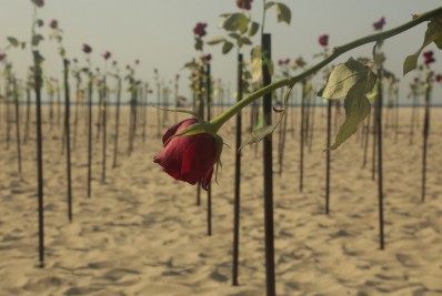 Covid-19: Brasil registra 373 mortes nas últimas 24 horas