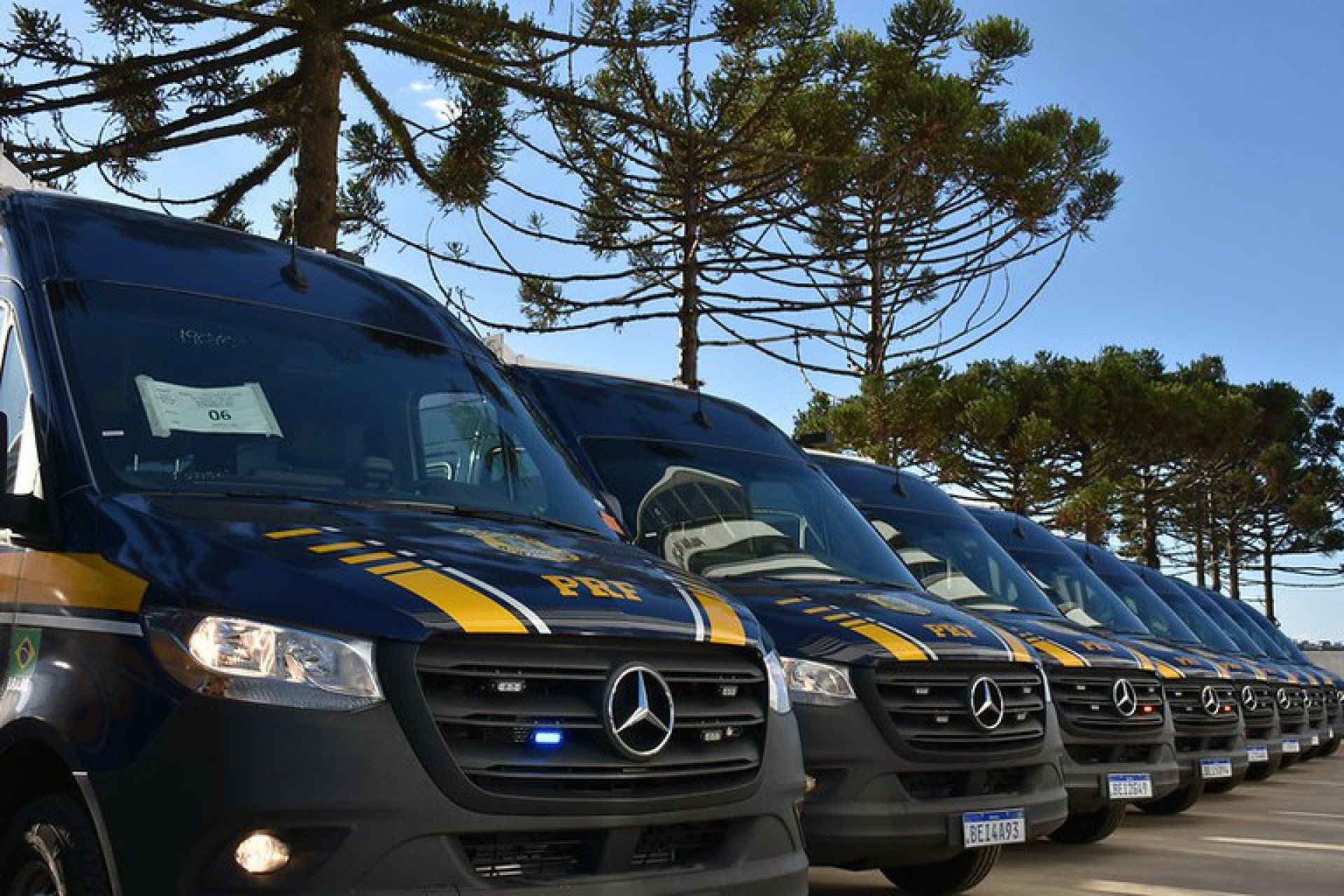 PRF n&atilde;o registra incidentes com delega&ccedil;&otilde;es durante Copa Am&eacute;rica