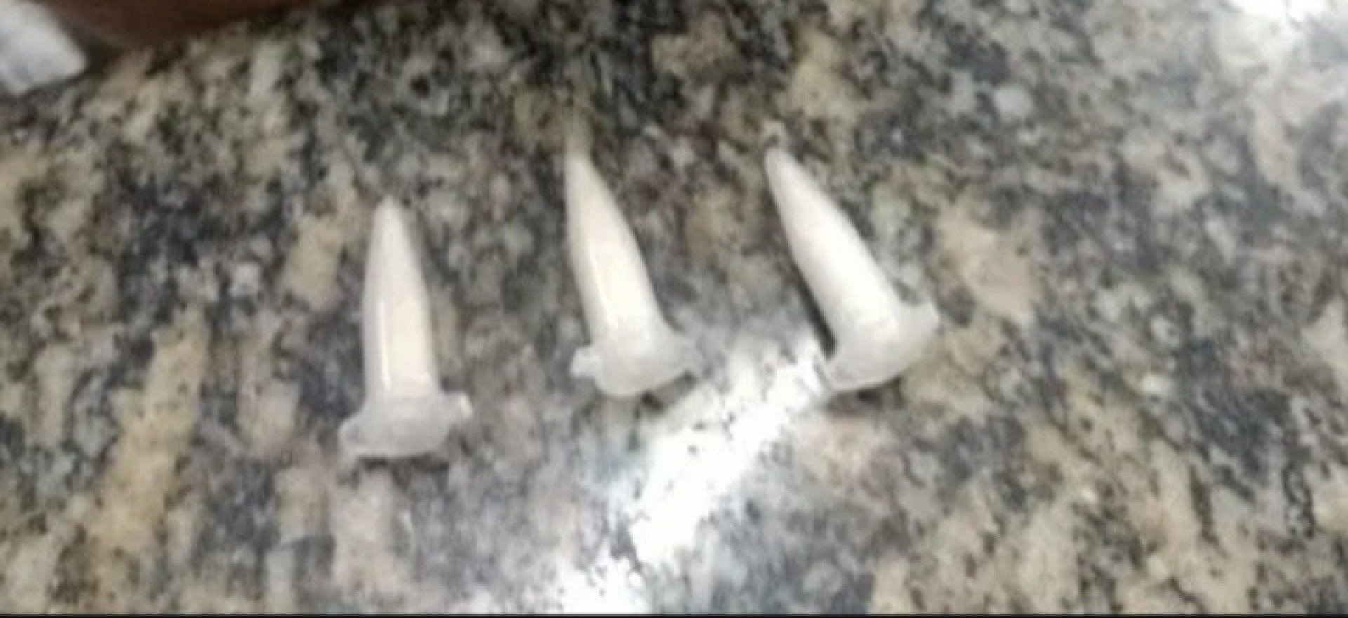 Homem &eacute; flagrado com coca&iacute;na escondida no bolso da bermuda durante a&ccedil;&atilde;o do 29&deg; BPM