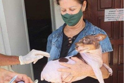 Vacinação Antirrábica para cães e gatos chega a São Cristóvão