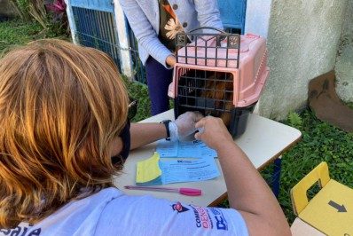 Veja locais da vacinação antirrábica em Duque de Caxias