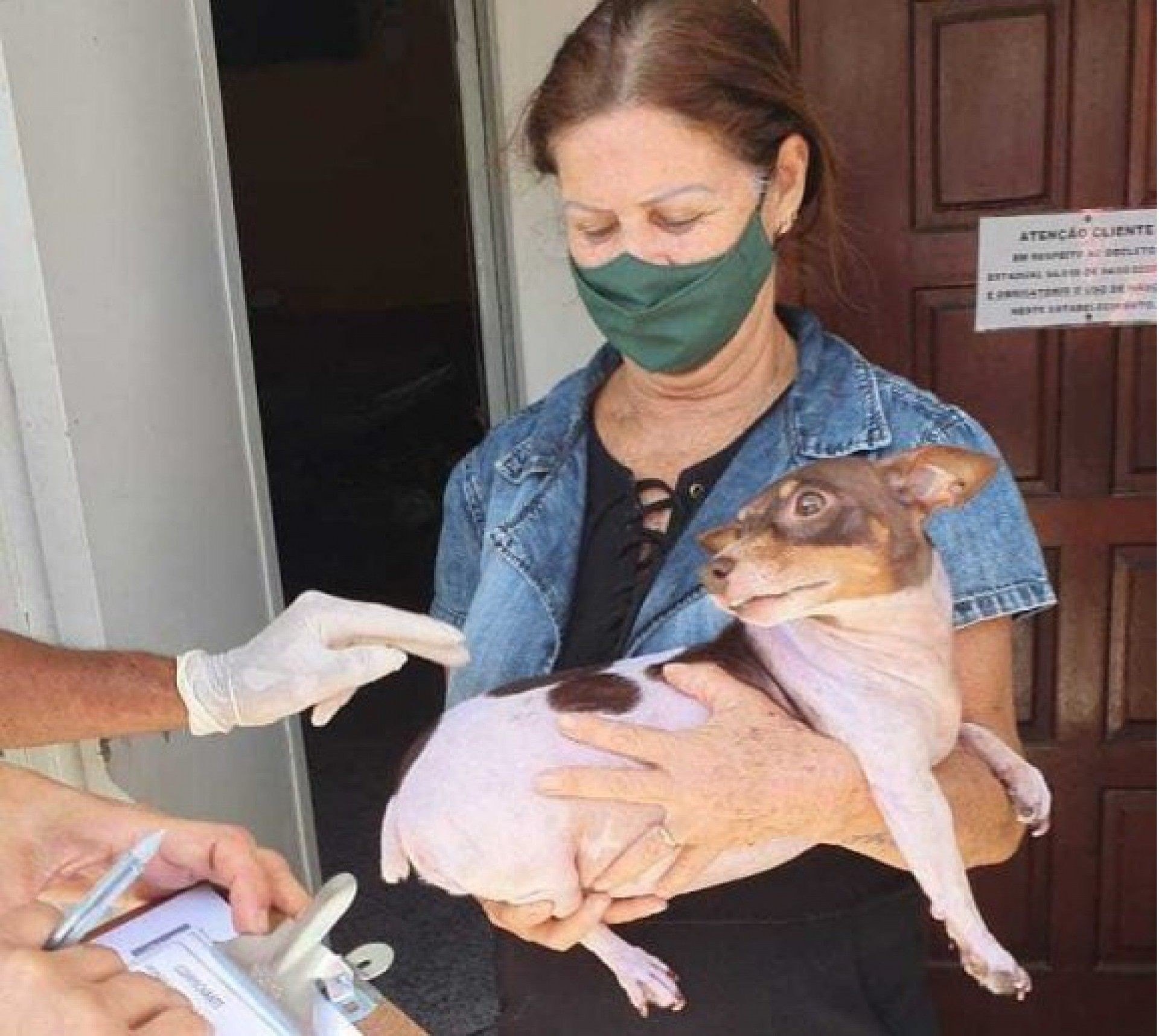 Vacina&ccedil;&atilde;o Antirr&aacute;bica para c&atilde;es e gatos chega a S&atilde;o Crist&oacute;v&atilde;o