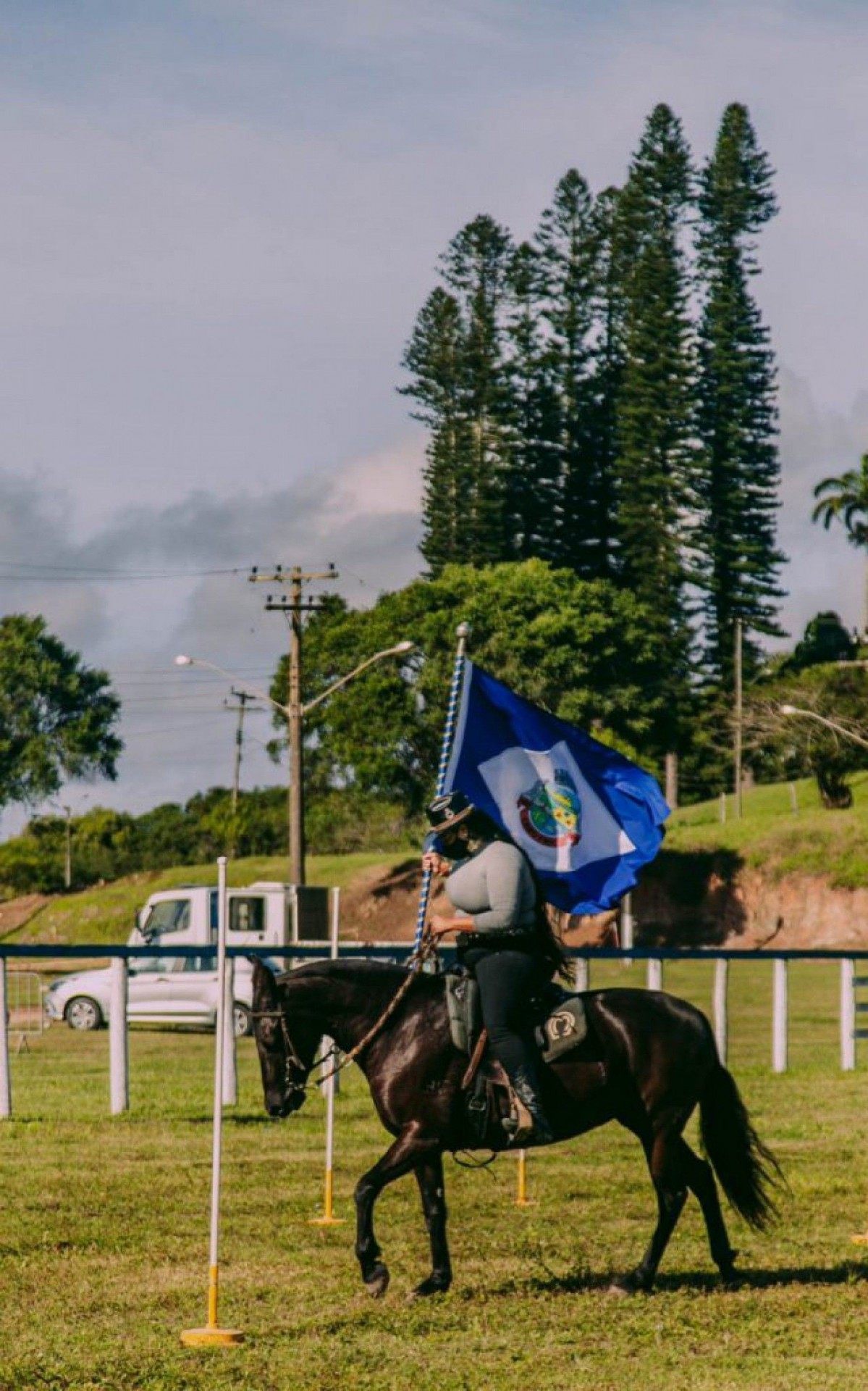 Cavalos lindos em apresenta&ccedil;&otilde;es que encantam 