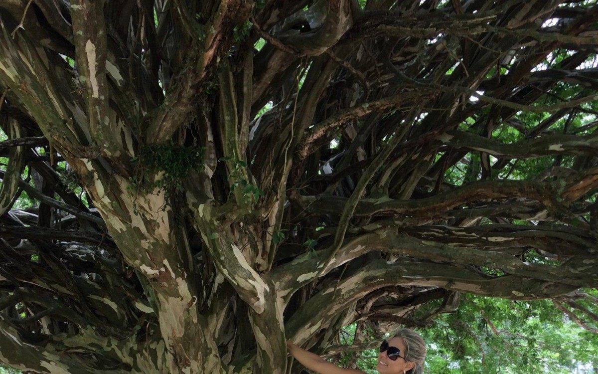 Janaina Castro Souza Pourchet, 44 anos