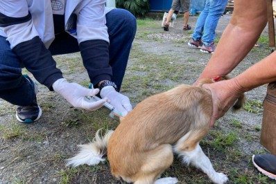 Vacinação antirrábica segue na próxima semana em Duque de Caxias