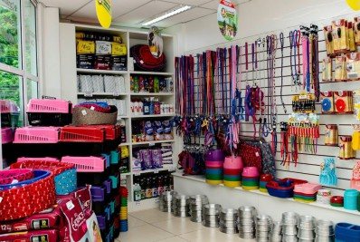 Empreendendo por meio de franquias