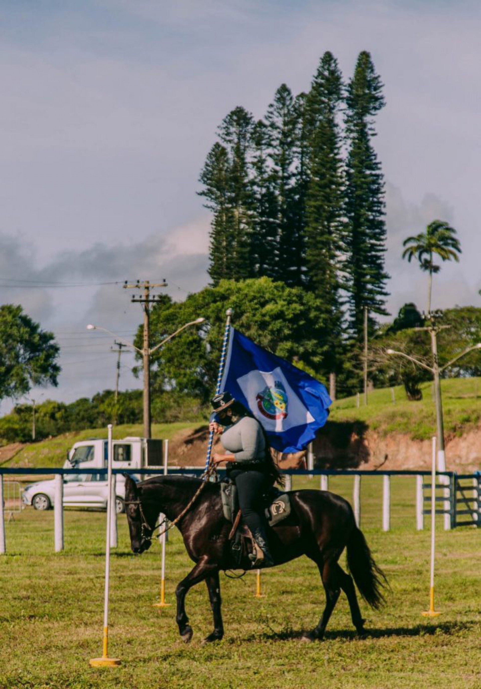 Cavalos lindos em apresenta&ccedil;&otilde;es que encantam  - SECOM