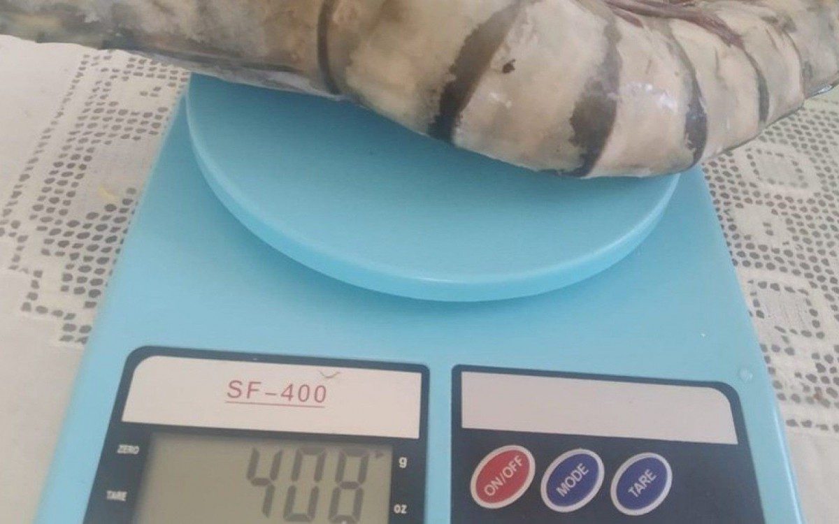 Gabriel Silva, de 80 anos, fez uma foto para registrar o peso do camar&atilde;o e para ningu&eacute;m dizer que &eacute; 'hist&oacute;ria de pescador'